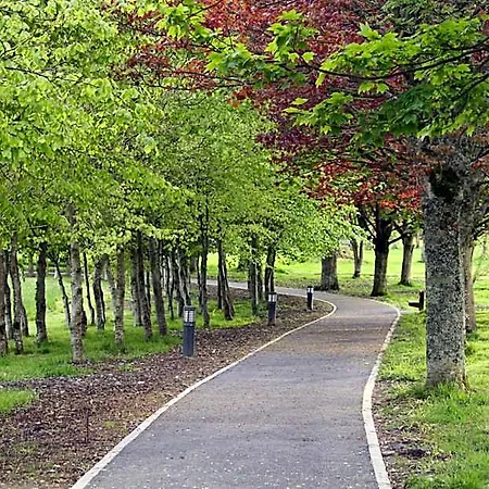Frühstückspension Palmgrove 3*