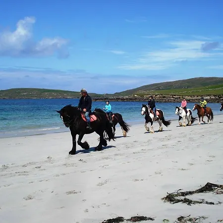 Palmgrove 3* Listowel