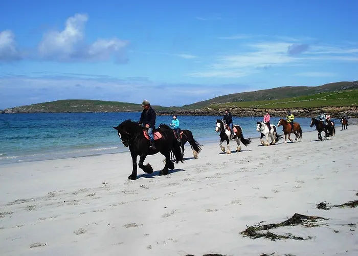 Palmgrove 3* ליסטוול