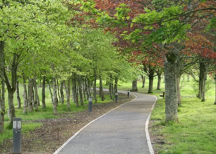 לינה וארוחת בוקר Palmgrove 3*